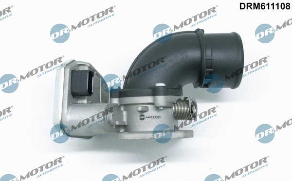 Throttle Body (DRM611108)
