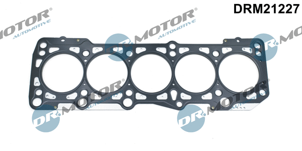 Gasket, cylinder head (DRM21227)