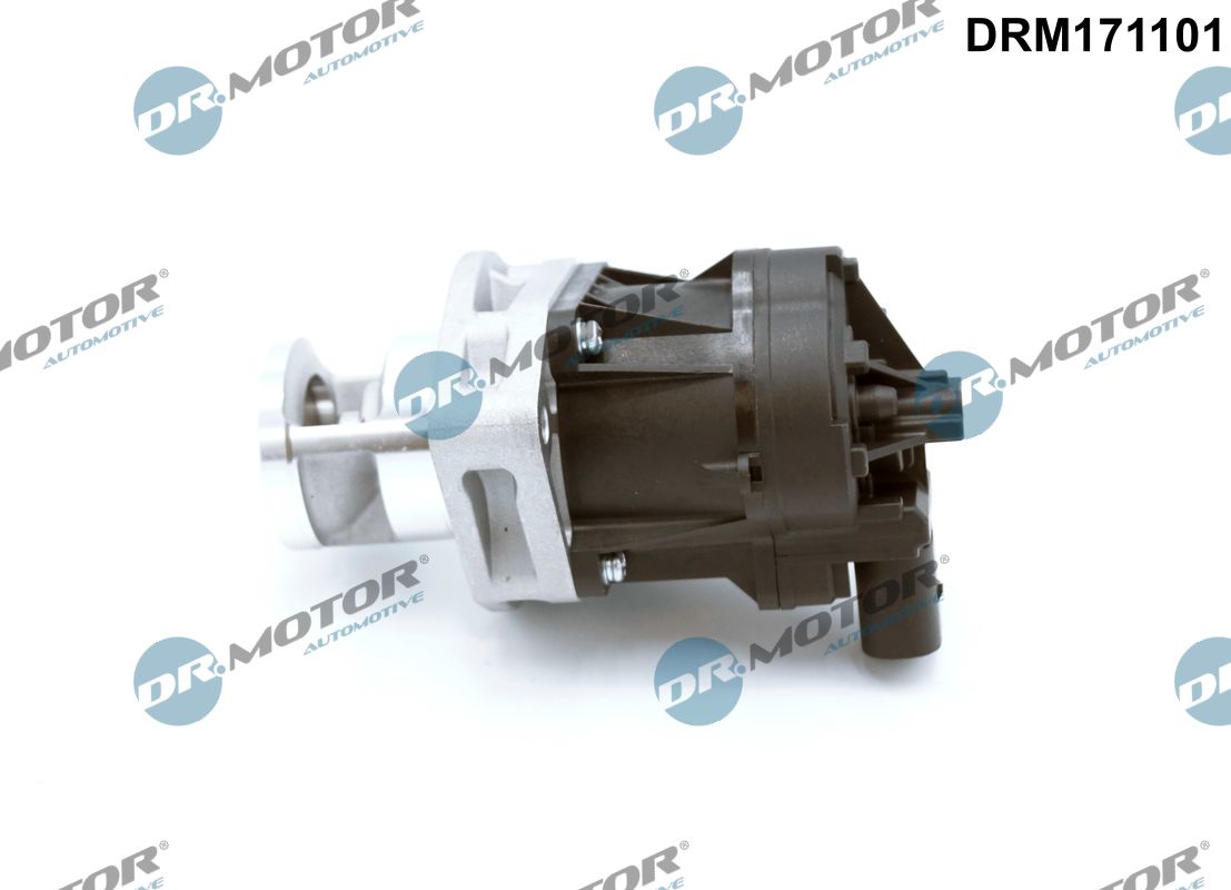 EGR Valve (DRM171101)