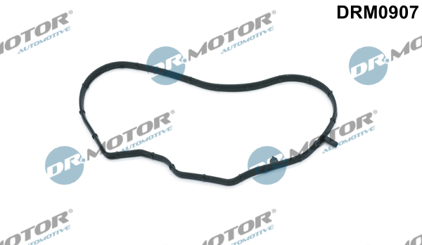 Gasket, timing case cover (DRM0907)
