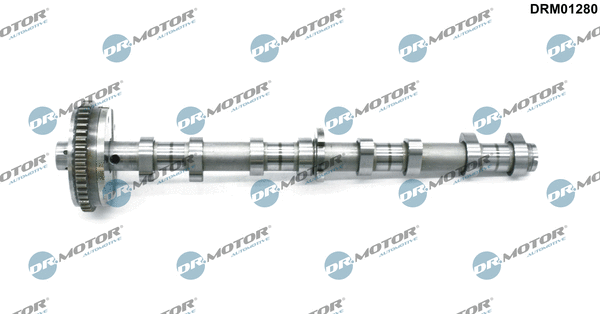 Camshaft (DRM01280)