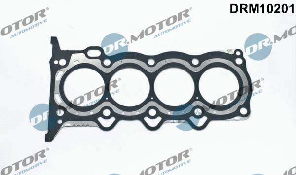 Gasket, cylinder head (DRM10201)