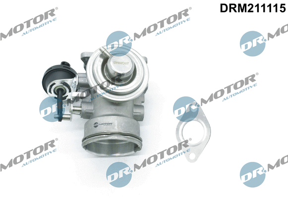 EGR Valve (DRM211115)