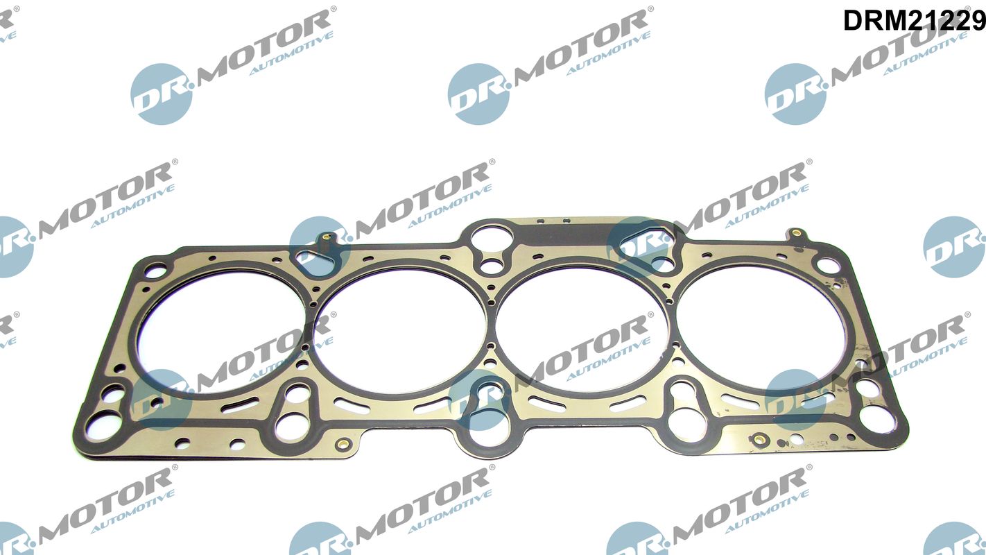 Gasket, cylinder head (DRM21229)