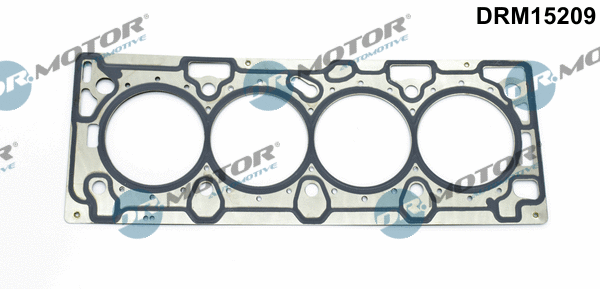 Gasket, cylinder head (DRM15209)