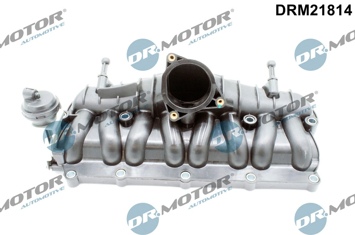 Intake Manifold Module (DRM21814)