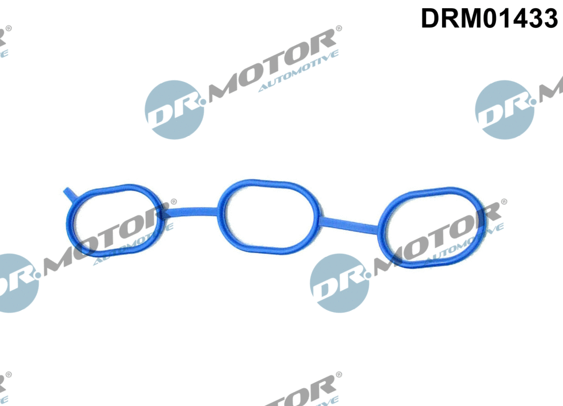 Gasket, intake manifold (DRM01433)