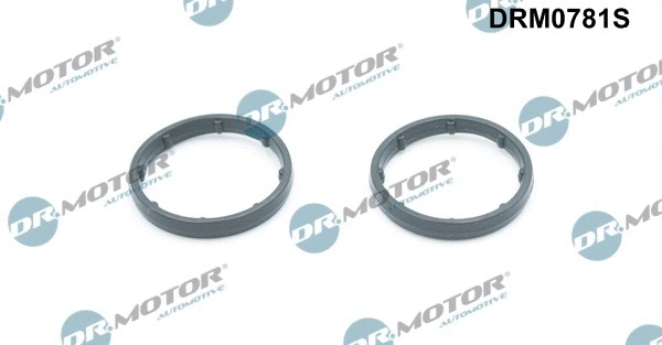 Gasket, oil cooler (DRM0781S)