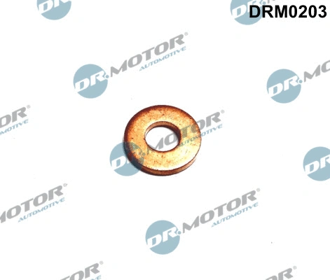 Seal Ring, injector (DRM0203)