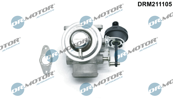 EGR Valve (DRM211105)