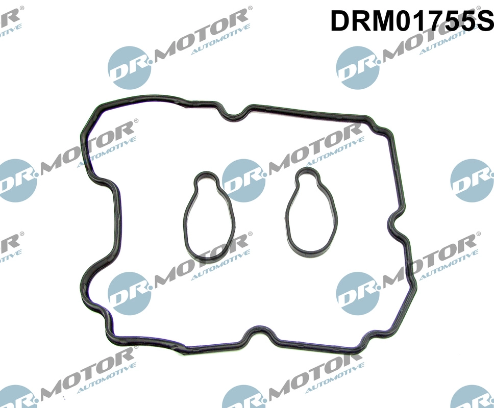 Gasket Set, cylinder head cover (DRM01755S)