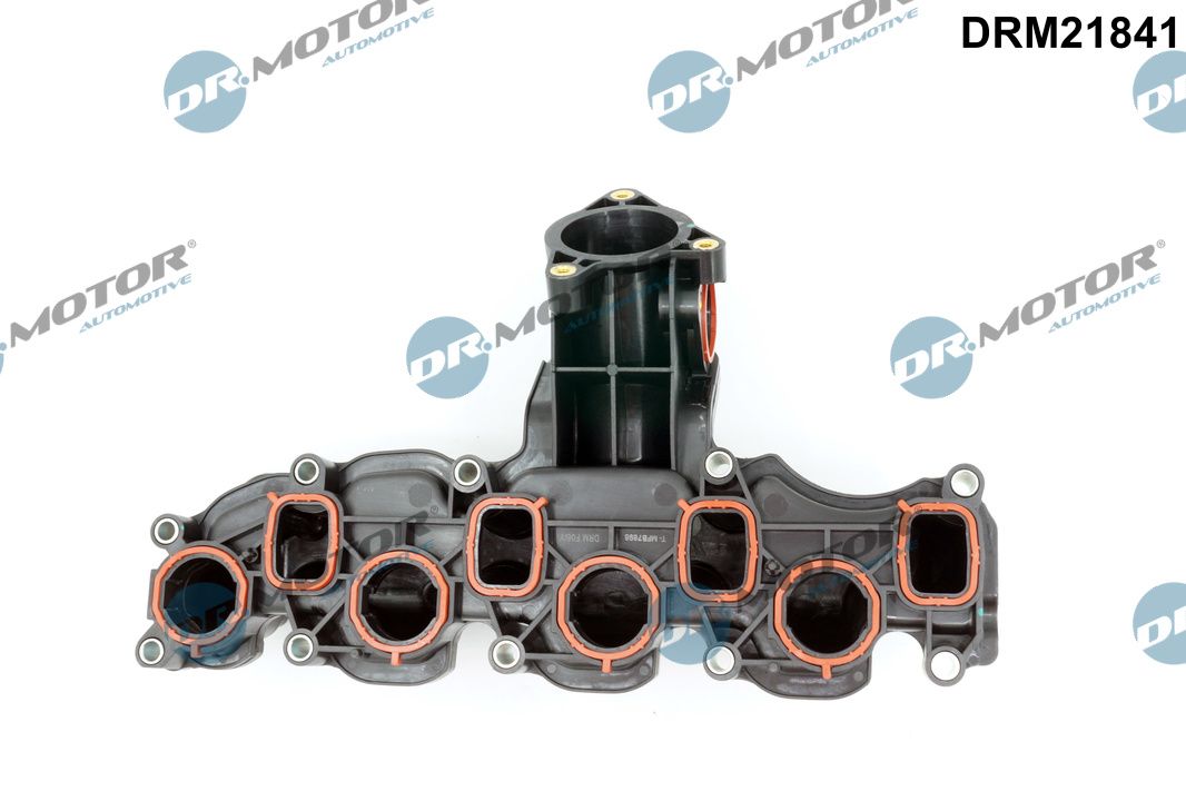 Intake Manifold Module (DRM21841)