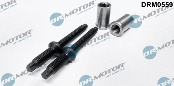 Screw, injection nozzle holder (DRM0559)