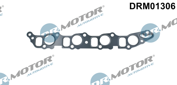 Gasket, intake manifold (DRM01306)