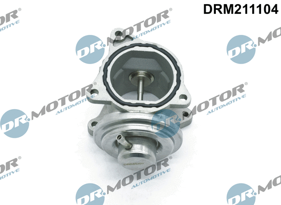 EGR Valve (DRM211104)