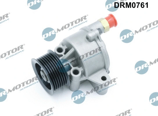 Vacuum Pump, braking system (DRM0761)