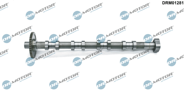 Camshaft (DRM01281)