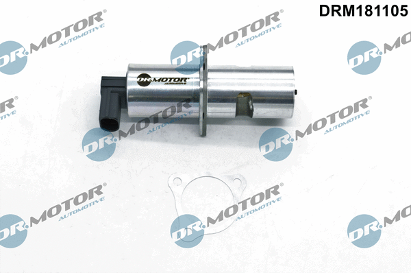EGR Valve (DRM181105)