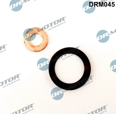 Seal Kit, injector nozzle (DRM045)
