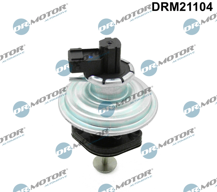 EGR Valve (DRM21104)