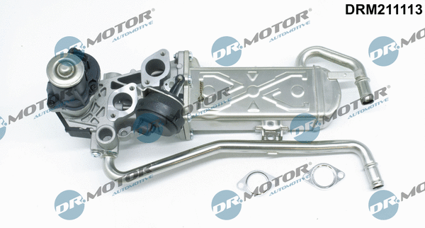 EGR Valve (DRM211113)