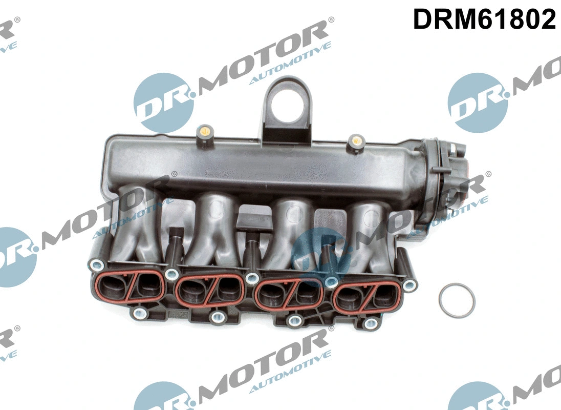 Intake Manifold Module (DRM61802)