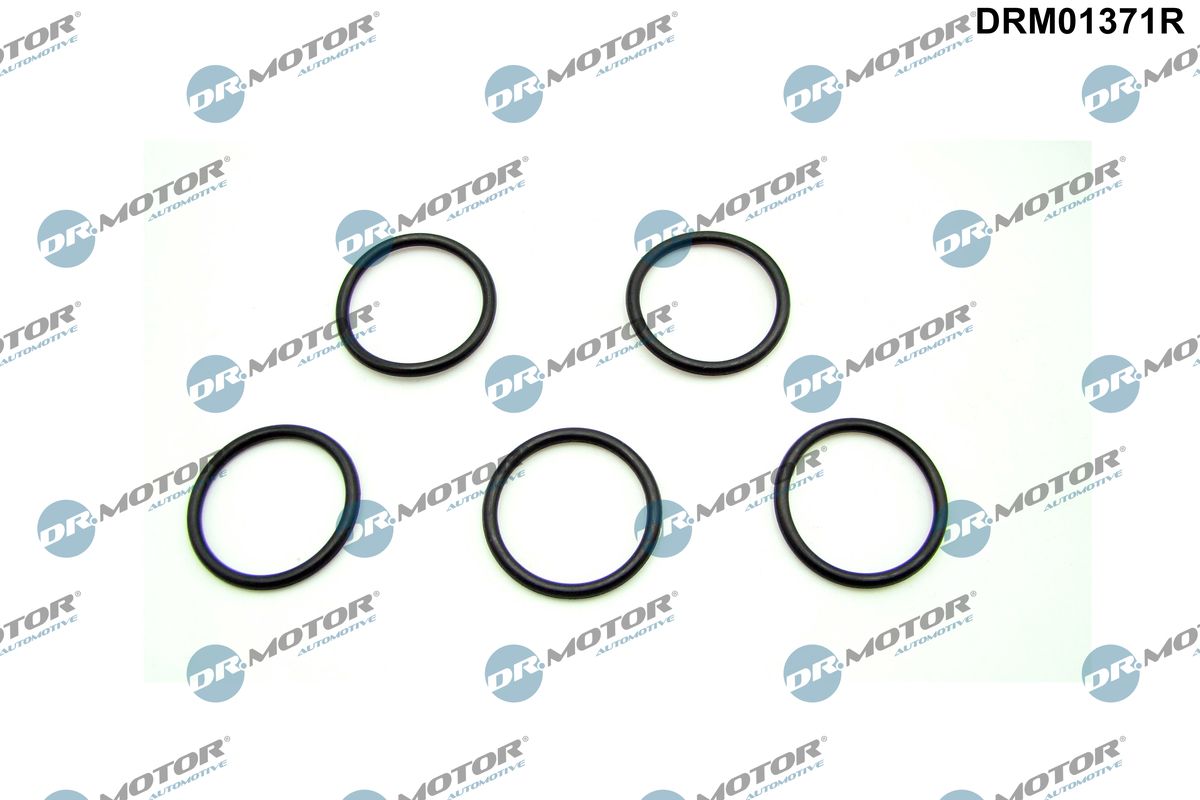 Seal Ring, oil drain plug (DRM01371R)