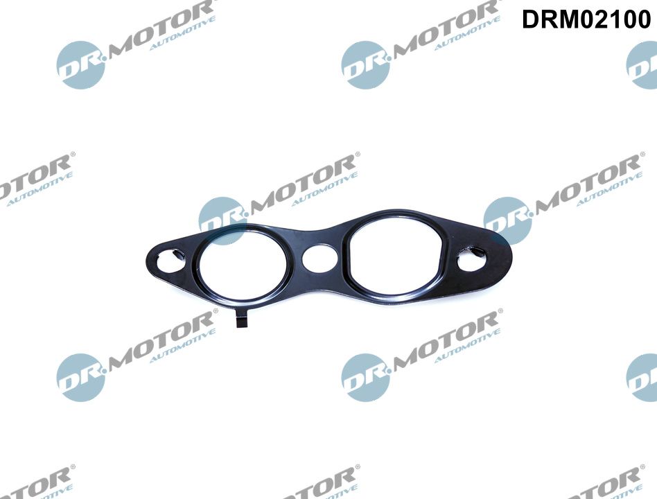 Gasket, EGR valve (DRM02100)