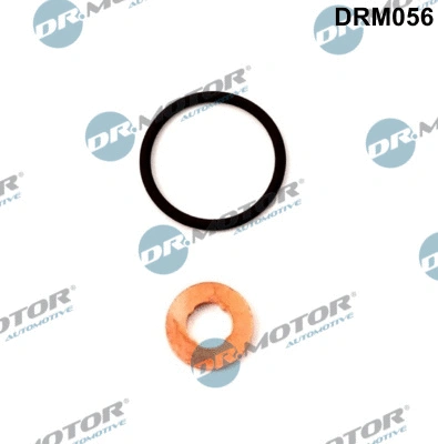 Seal Kit, injector nozzle (DRM056)