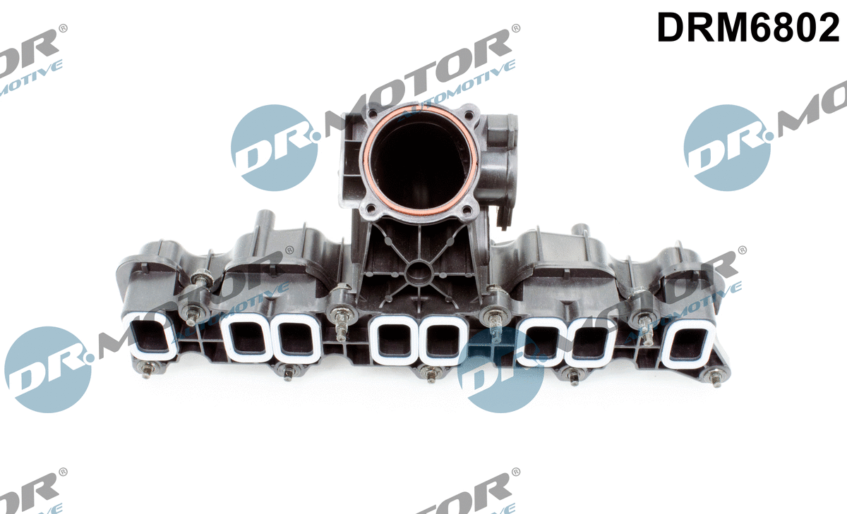 Intake Manifold Module (DRM6802)