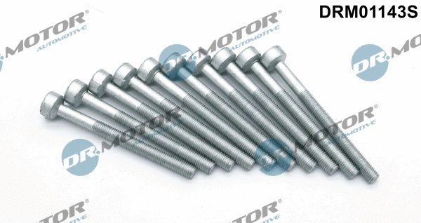Screw, injection nozzle holder (DRM01143S)