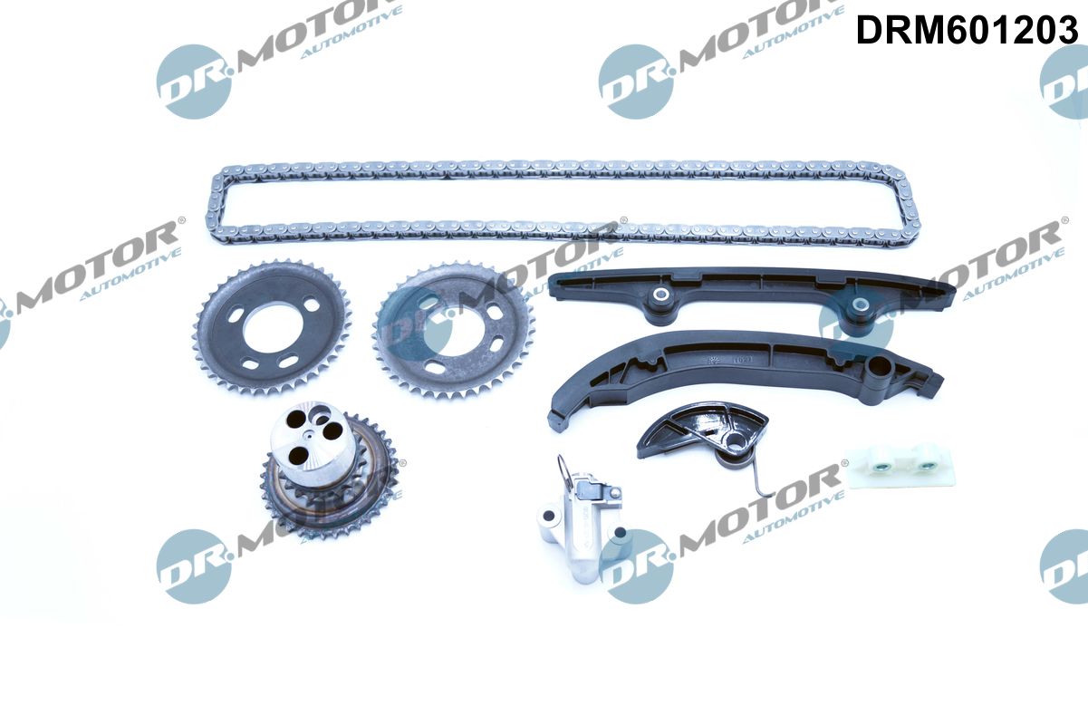 Timing Chain Kit (DRM601203)