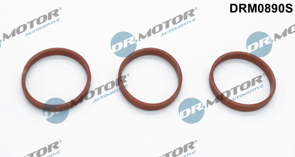 Gasket Set, intake manifold (DRM0890S)