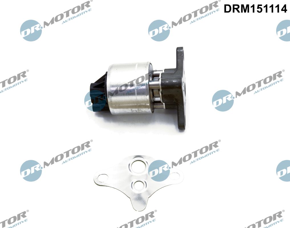 EGR Valve (DRM151114)