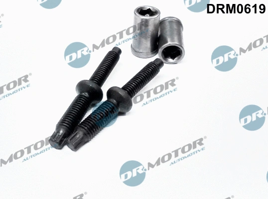 Screw, injection nozzle holder (DRM0619)