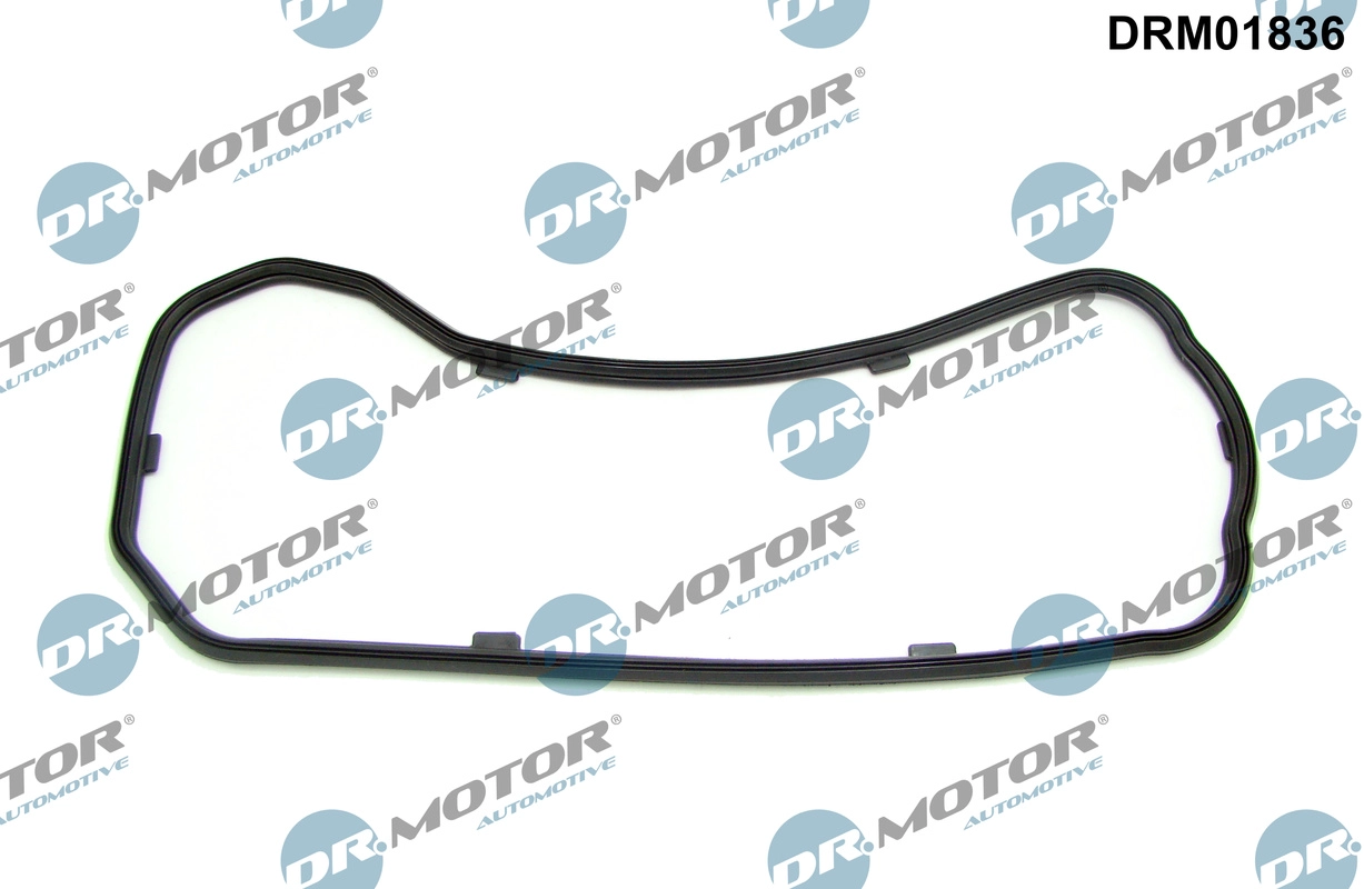 Gasket, oil sump (DRM01836)