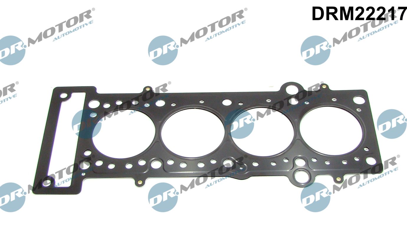 Gasket, cylinder head (DRM22217)