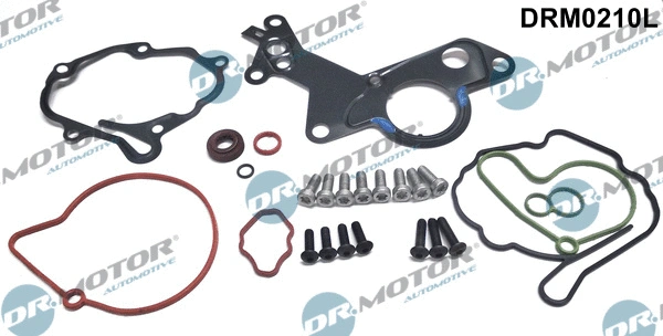 Repair Set, vacuum pump (braking system) (DRM0210L)