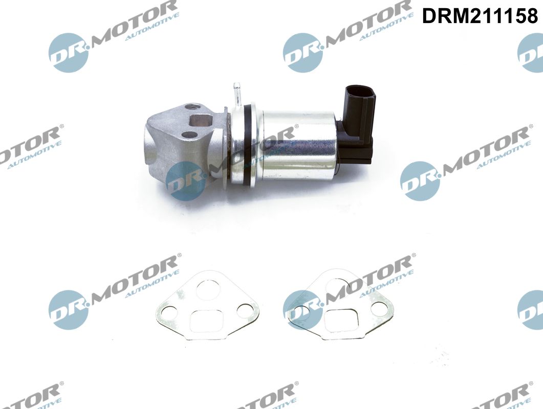 EGR Valve (DRM211158)