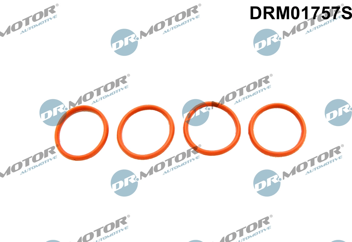 Gasket Set, intake manifold (DRM01757S)