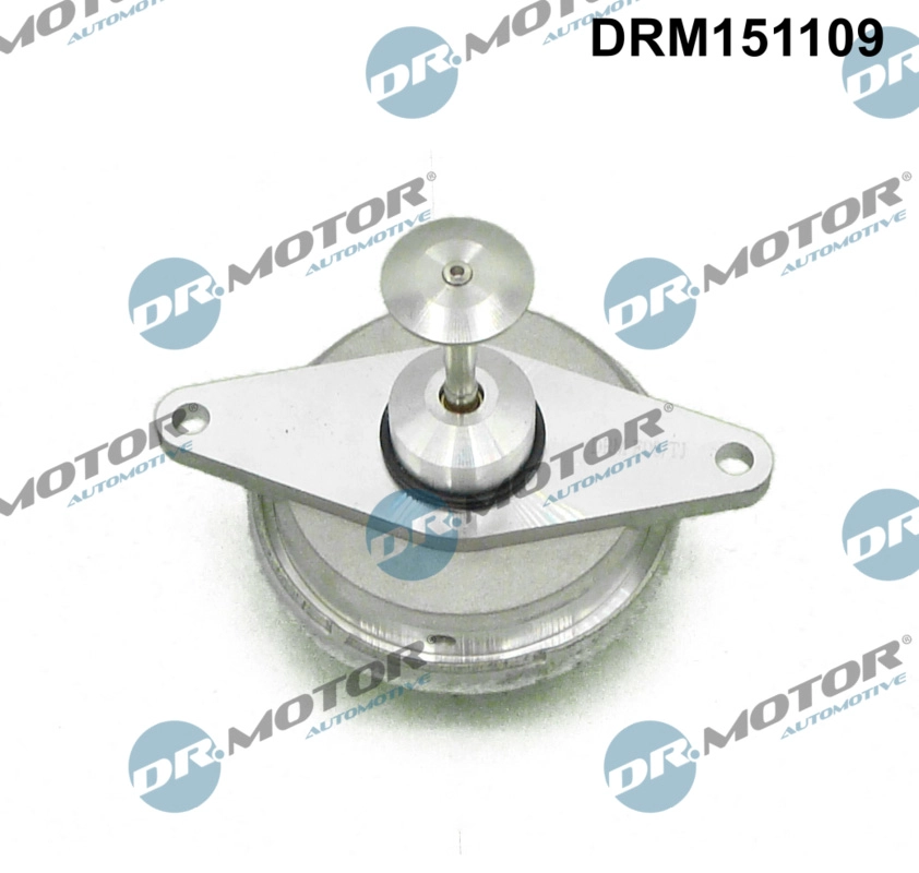 EGR Valve (DRM151109)
