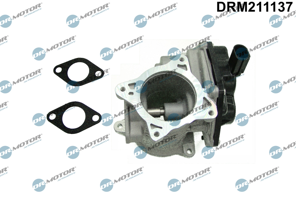 EGR Valve (DRM211137)