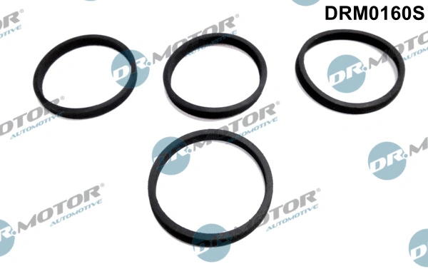 Gasket Set, intake manifold (DRM0160S)