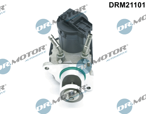 EGR Valve (DRM21101)