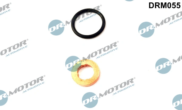 Seal Kit, injector nozzle (DRM055)