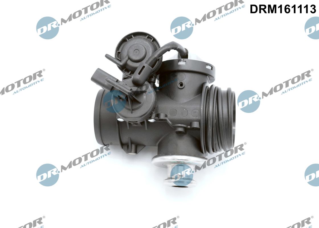 EGR Valve (DRM161113)