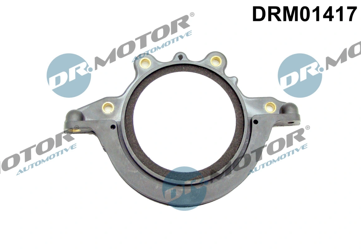 Shaft Seal, crankshaft (DRM01417)