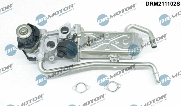 EGR Valve (DRM211102S)
