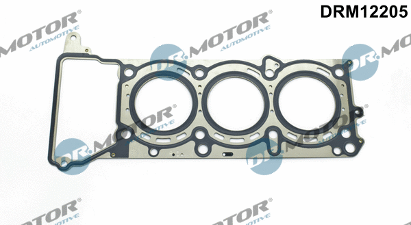 Gasket, cylinder head (DRM12205)