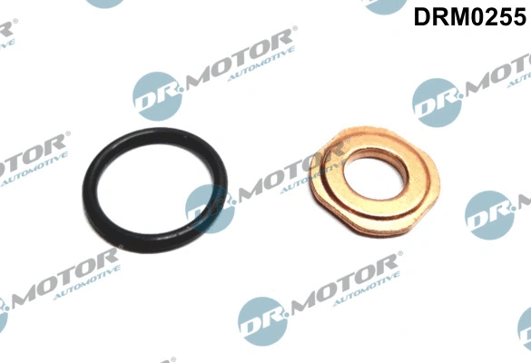 Seal Kit, injector nozzle (DRM0255)